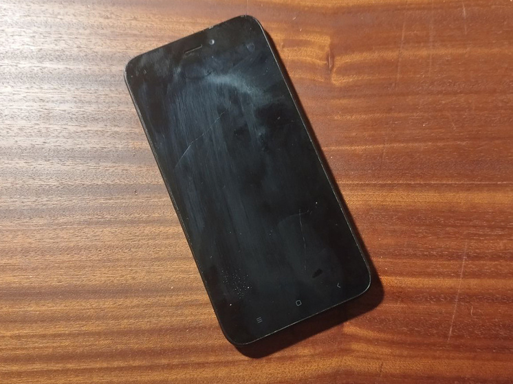     Фото: архив МК в Питере.