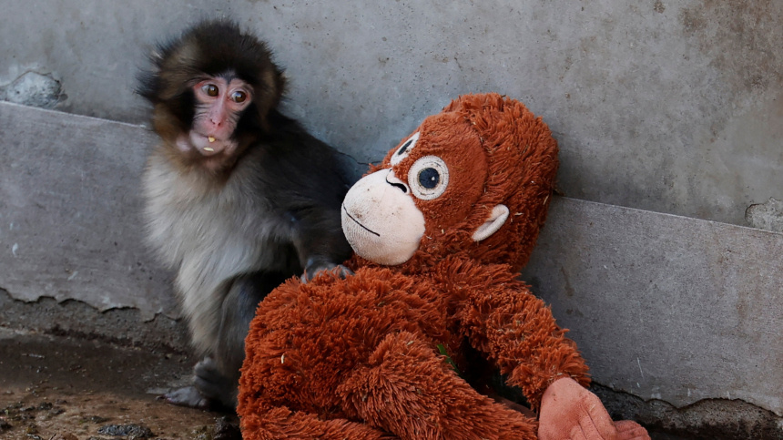    Фото: Reuters/Kim Kyung-Hoon