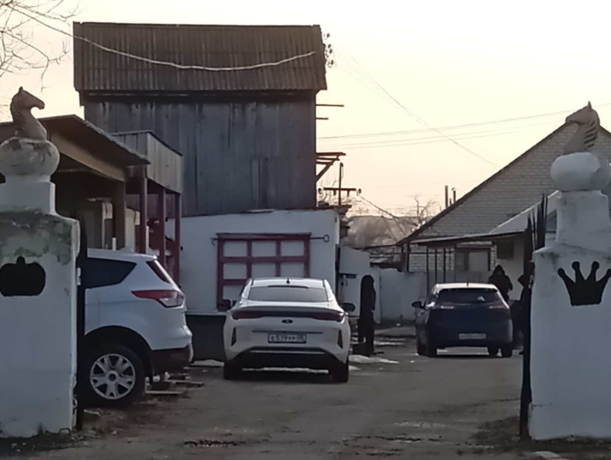 Сохранившиеся столбы ворот с конями, яблоком и короной.