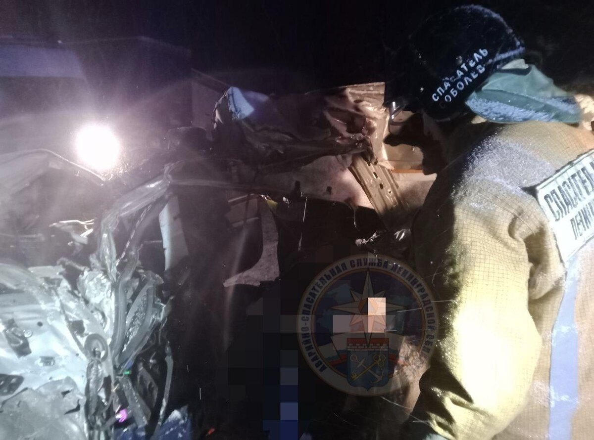    Фото: t.me/acclenobl