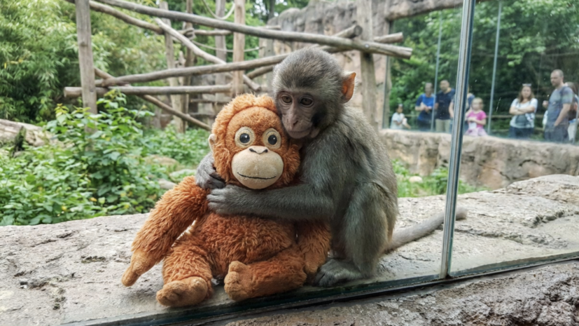   Сгенерировано с помощью ИИ