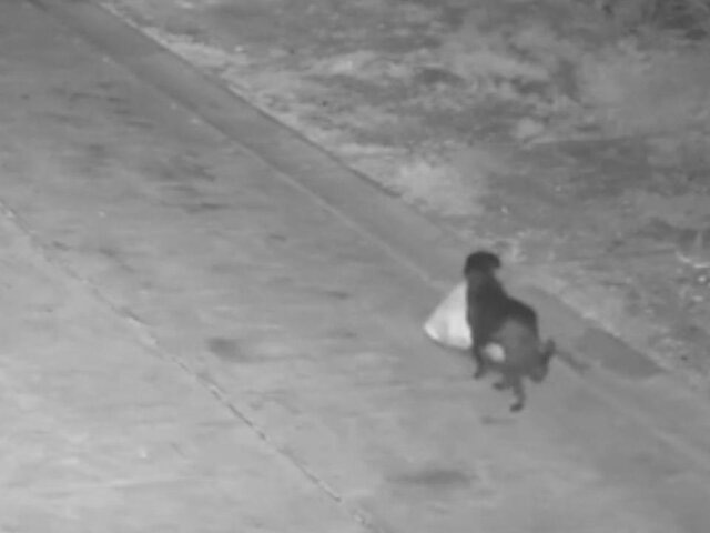    Фото: regione.sicilia.it