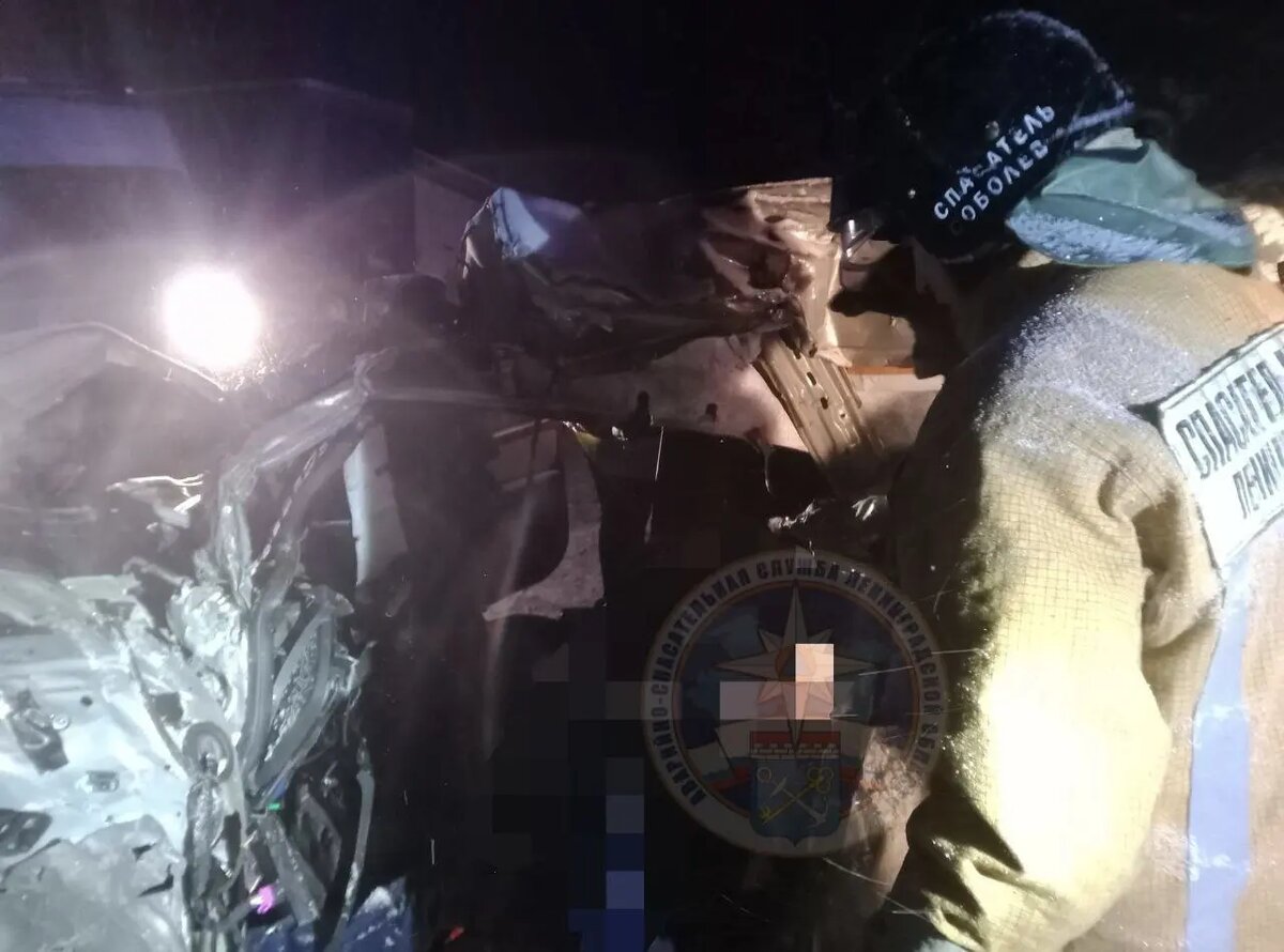    Фото: пресс-служба Аварийно-спасательной службы Ленобласти