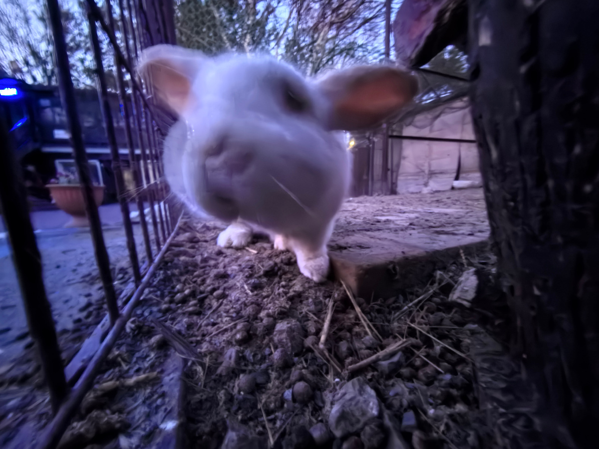 Не крутился бы, не размыло