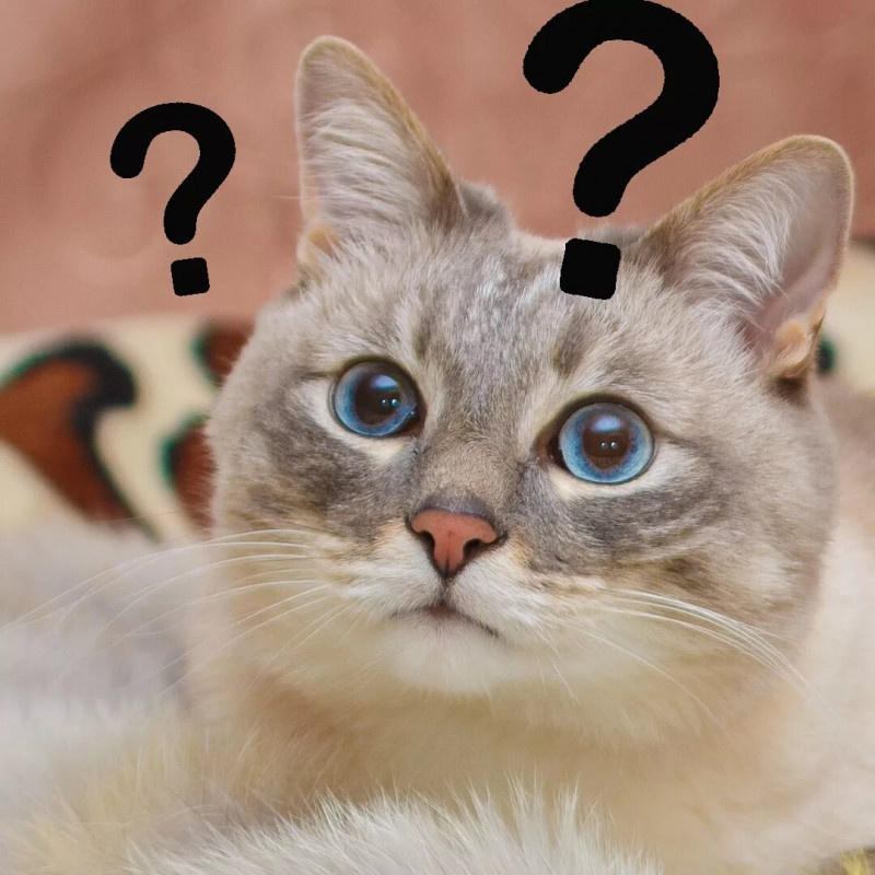 источник Яндекс-картинки