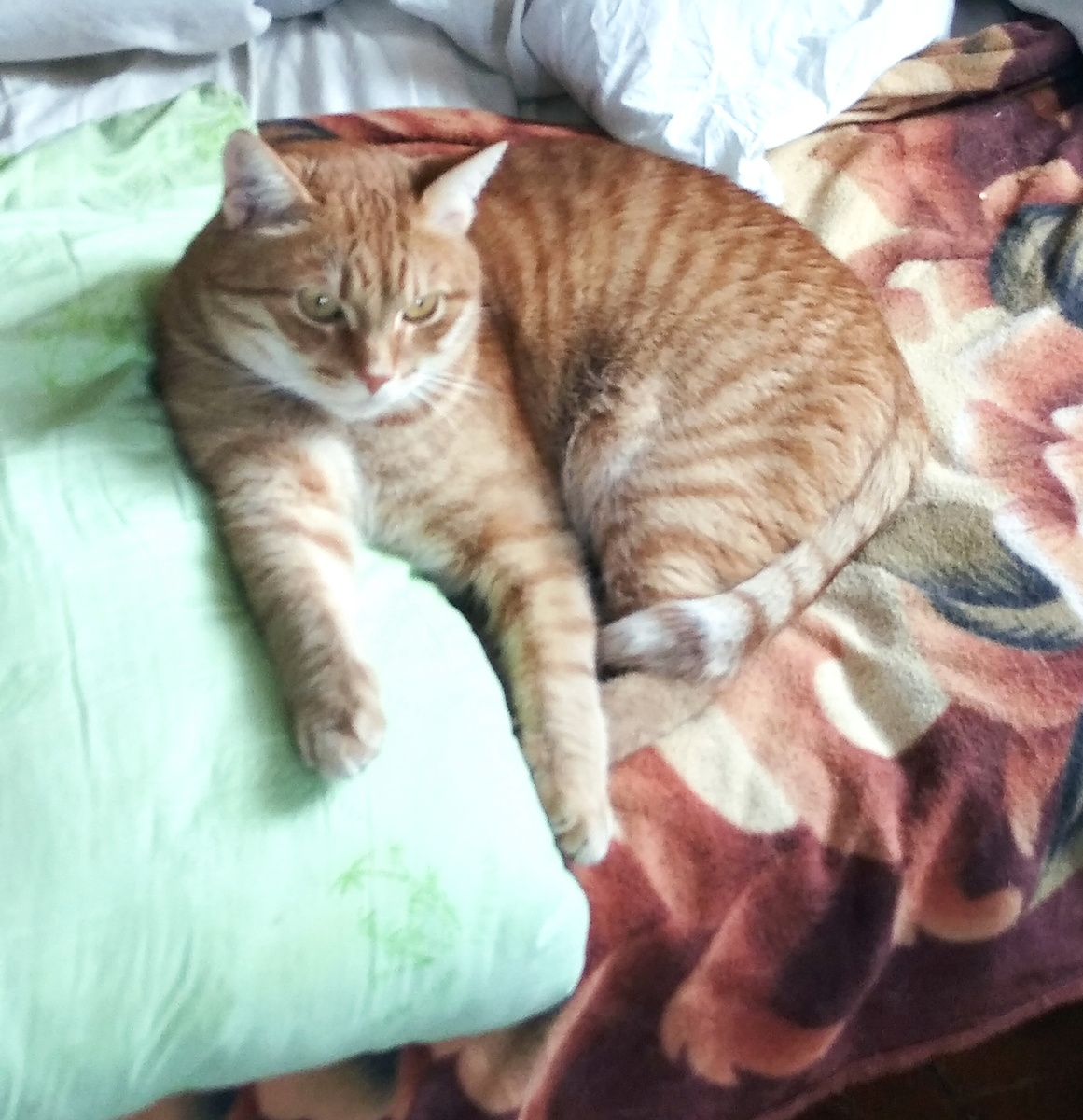 Личное  фото