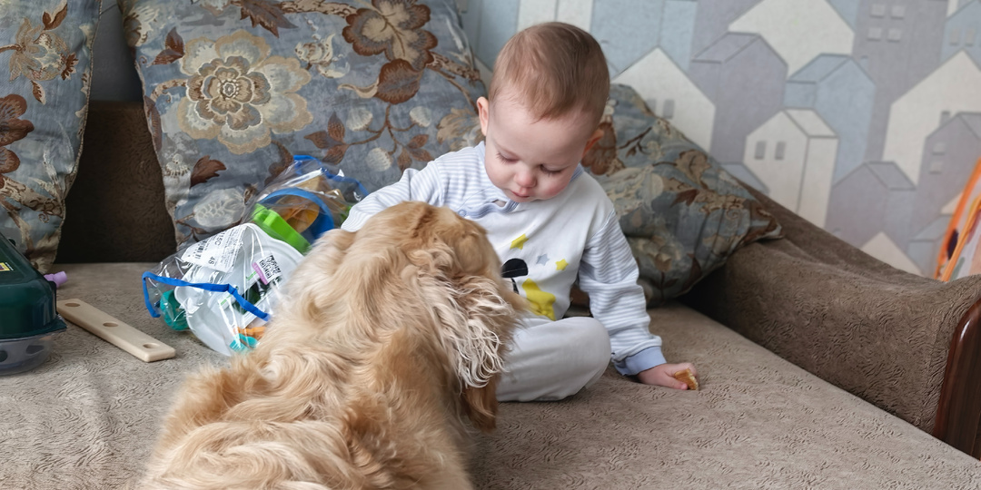 "Эффект творожка", или как мы младшему прививки делали