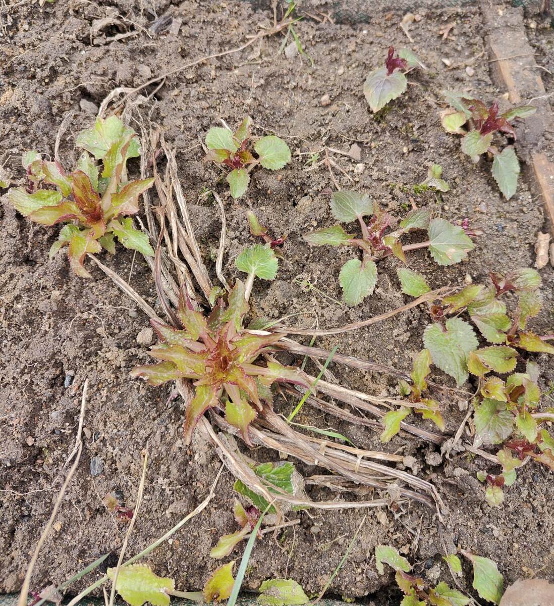 Конец марта.