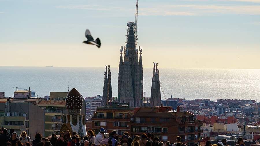    Фото: Global Look Press/Joan Gosa