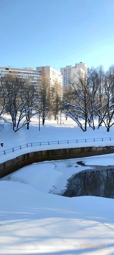 Фото автора канала. Сквер.