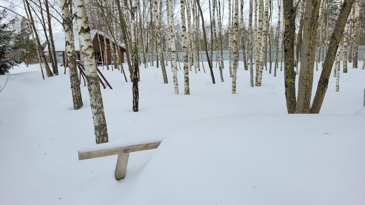 Справа забор, вот там калитка.