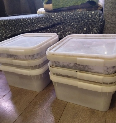 Домашняя вериферма.