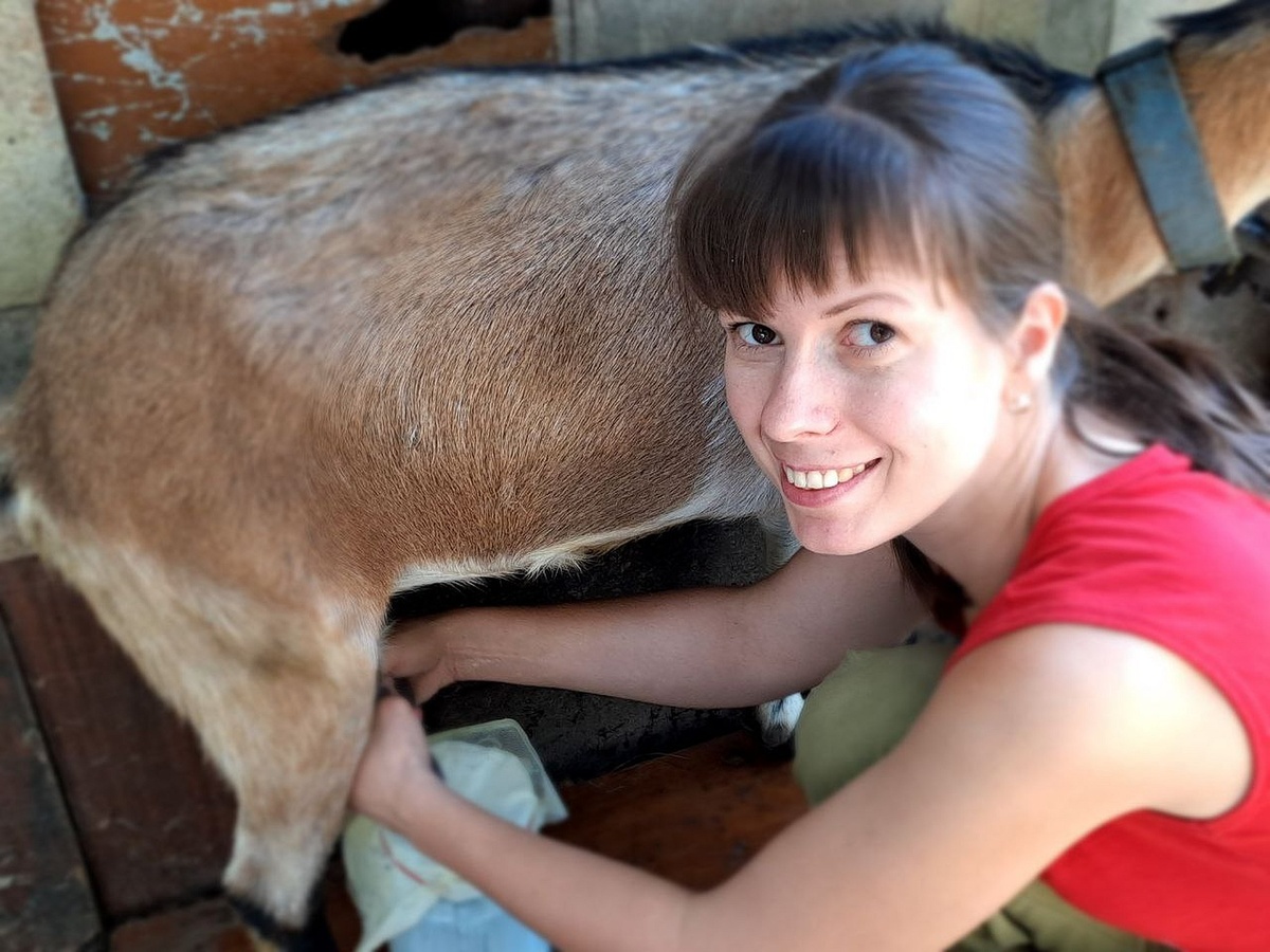 Листайте вправо, чтобы увидеть больше изображений