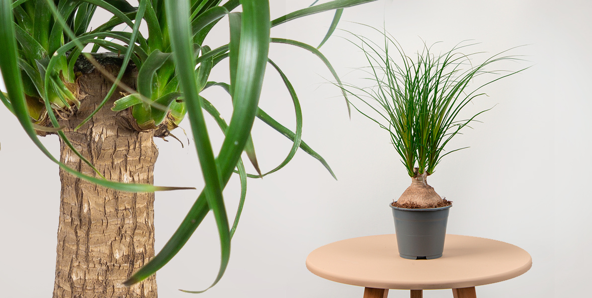 Фотография из интернета