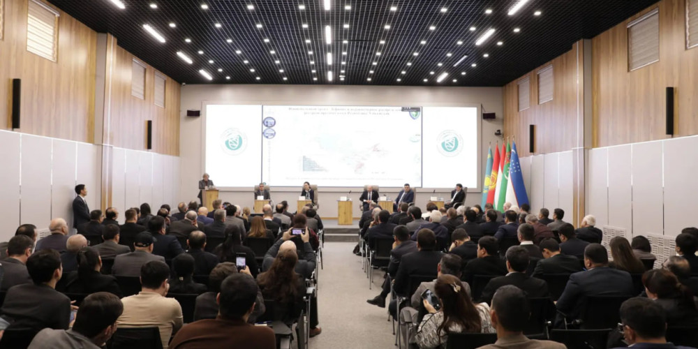 Источник: caravan-info.uz