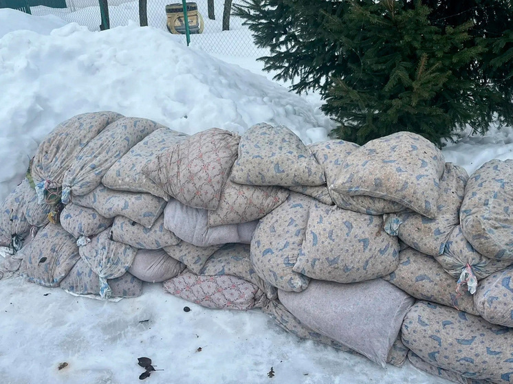     фото: Министерство лесного хозяйства Липецкой области