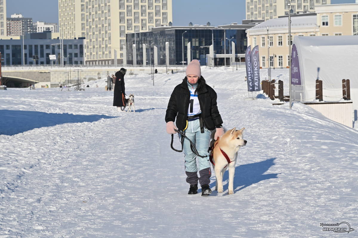    Фото: Анастасия Сибирякова © ИА «Уральский меридиан»