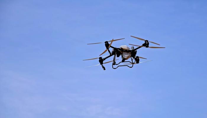 Обложка © Shutterstock / FOTODOM / Ira.foto.2024