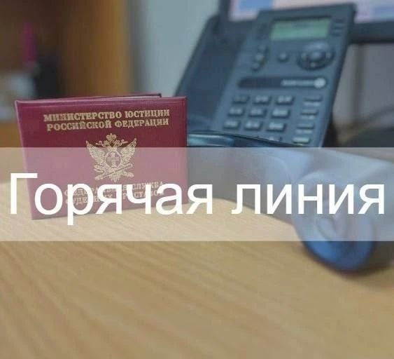    Фото: УФССП России по Республике Карелия / Telegram