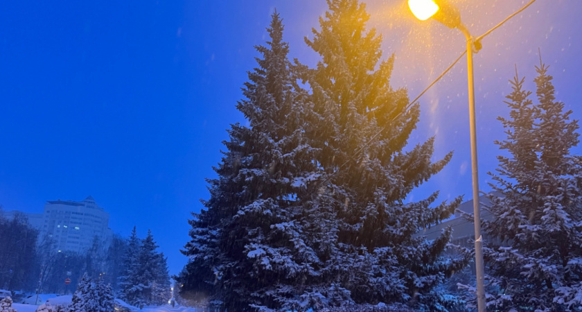    ПроГород