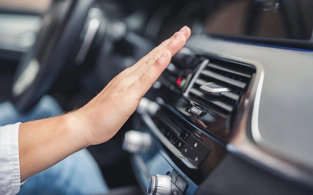 Фото: zedspider / Shutterstock / FOTODOM