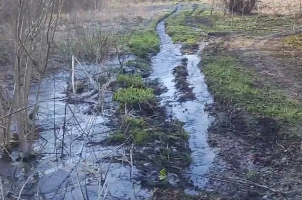    В регионе подготовят проекты расчистки ещё десяти рек и ручьёв