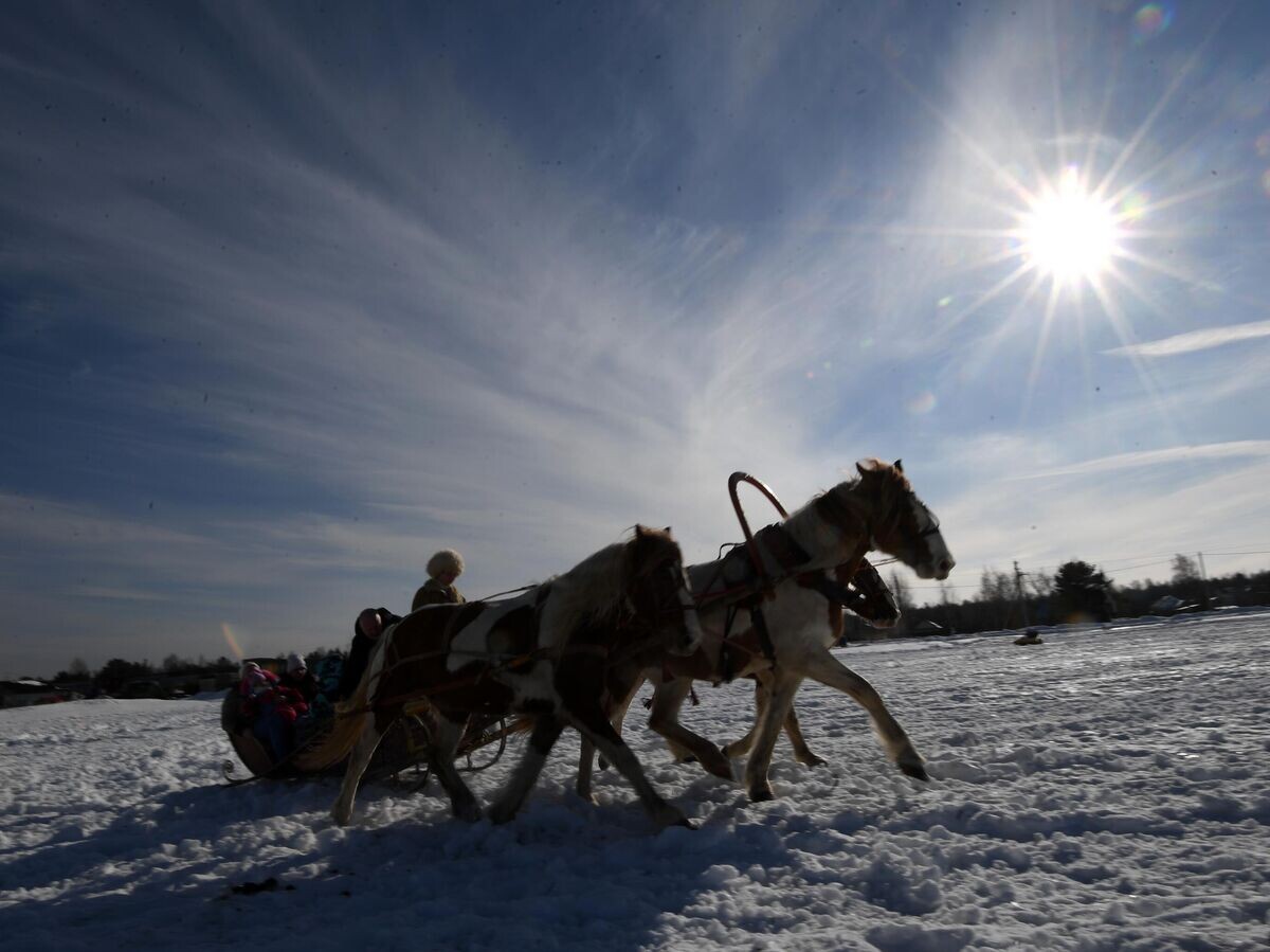    Фестиваль русской тройки "Владимирский тракт - 2021" | © РИА Новости / Кирилл Каллиников