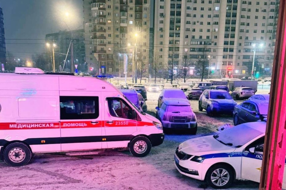    Мужчину задержали. Решается вопрос о возбуждении уголовного дела. Фото: t.me/newsdorin