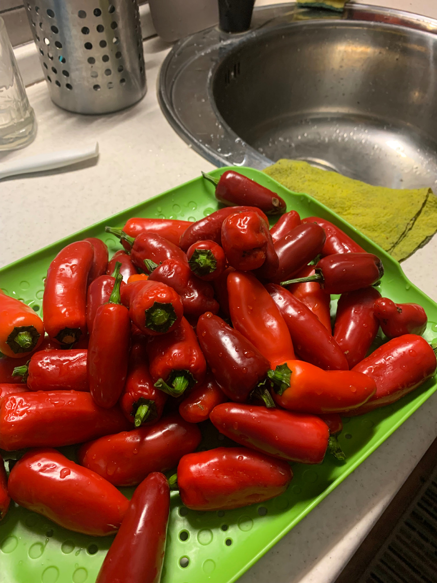 Люблю одинаковые. Фото Мой второй сад