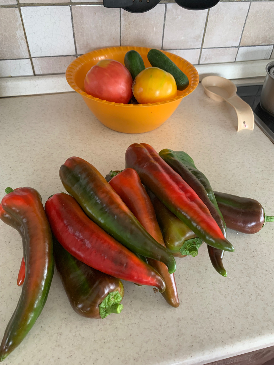 Перец Рамиро. Фото Мой второй сад