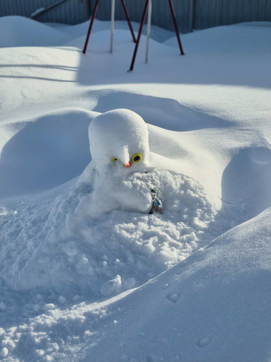 До снегопада это был снеговик 😅