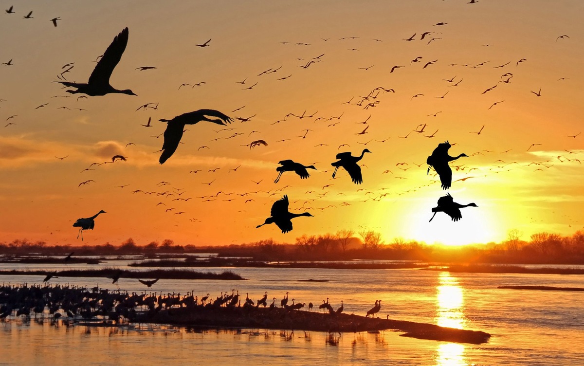    Фото: istockphoto/Jim Glab