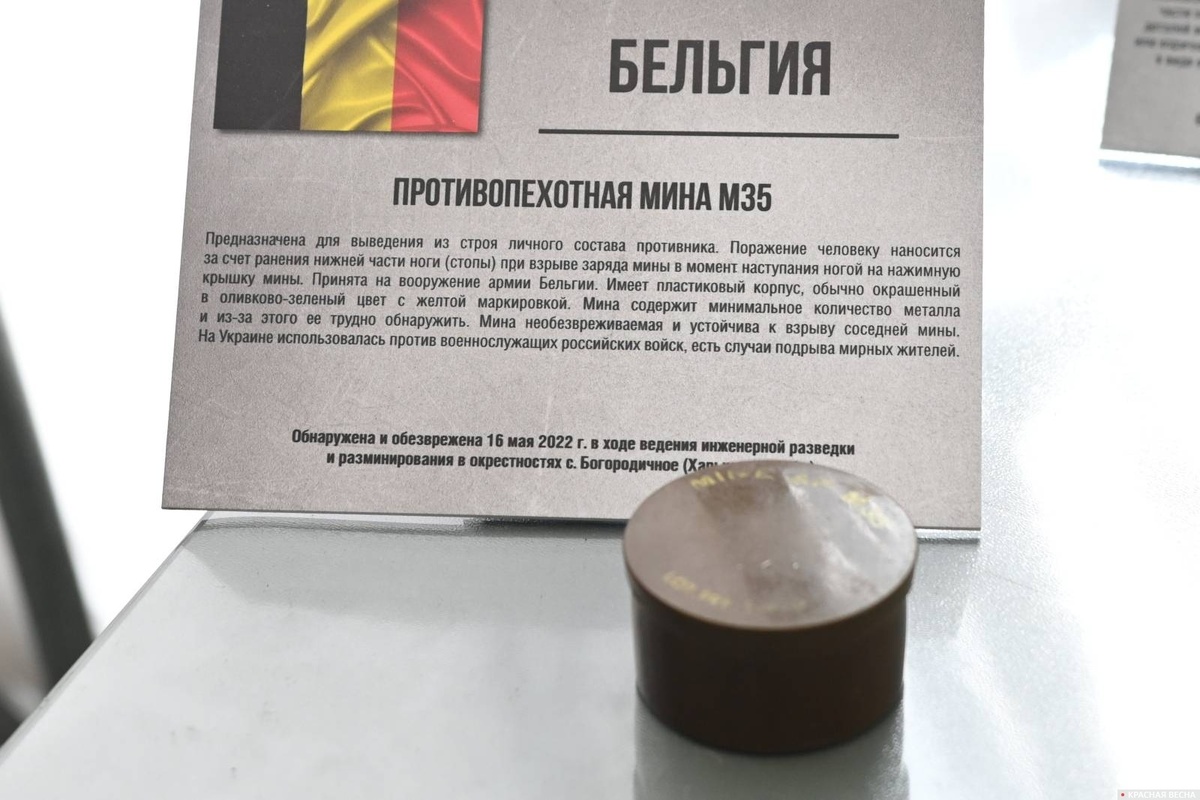     Противопехотная мина M35 (Бельгия)   
Иван Лазебный © ИА Красная Весна