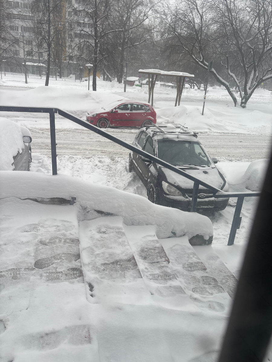 Вид из окна моего пвз