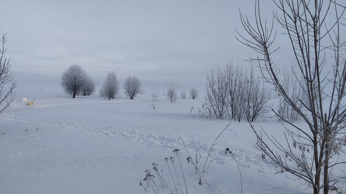 Такую картину вижу по дороге на работу ) по-моему, в этом что-то есть... 