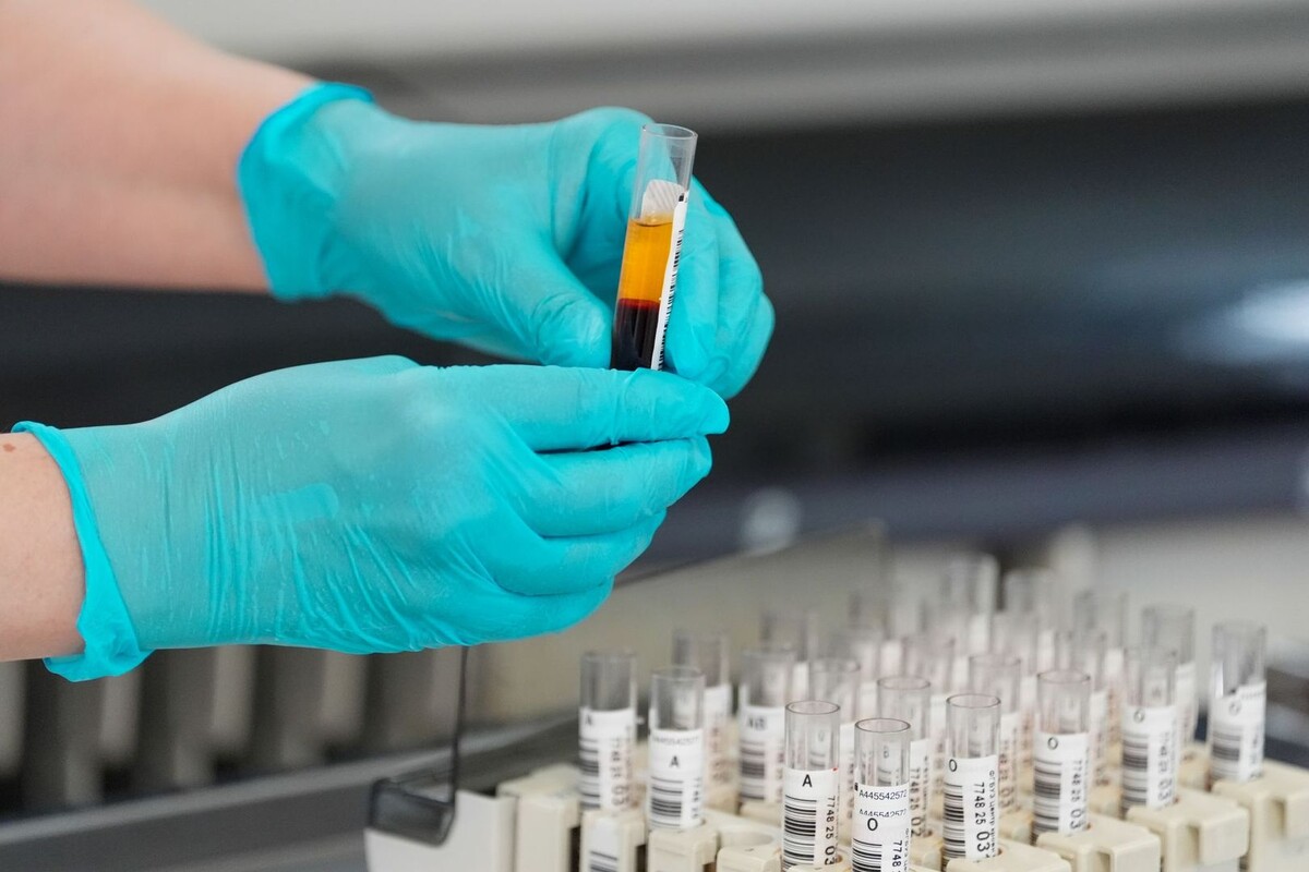     / Источник: © ИЗВЕСТИЯ/Эдуард Корниенко