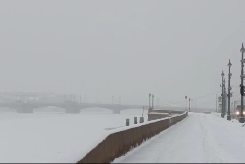 Татьяна Швецова / spb.aif.ru