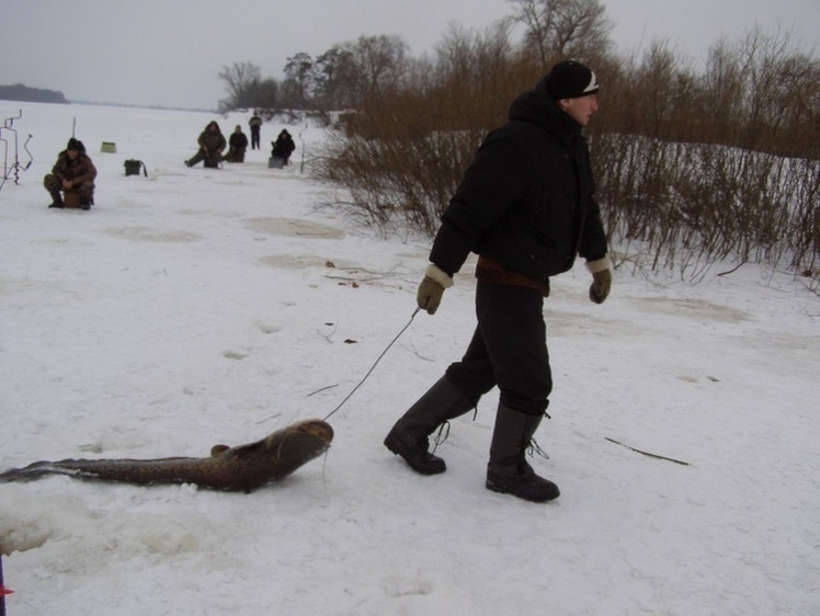    Фото: Линника Николая.