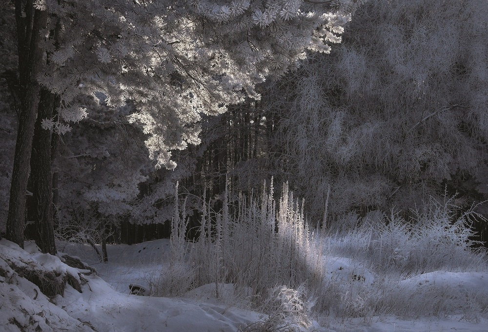 Изображение из открытых источников