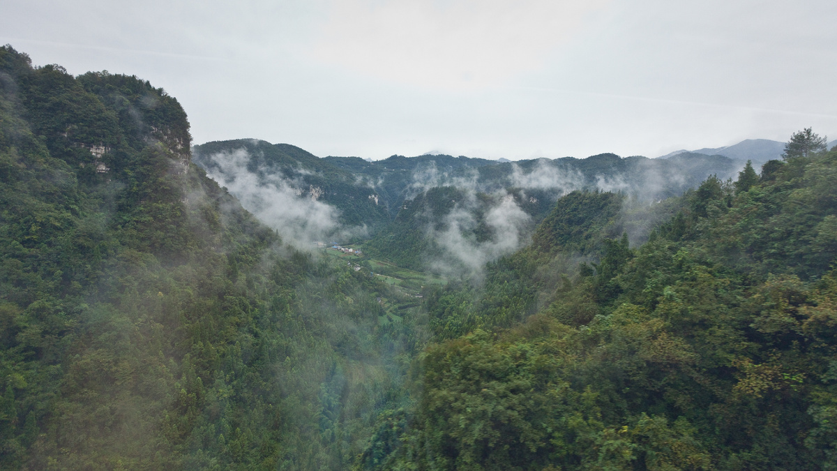Виды из скоростного поезда на линии Чунцин — Ухань