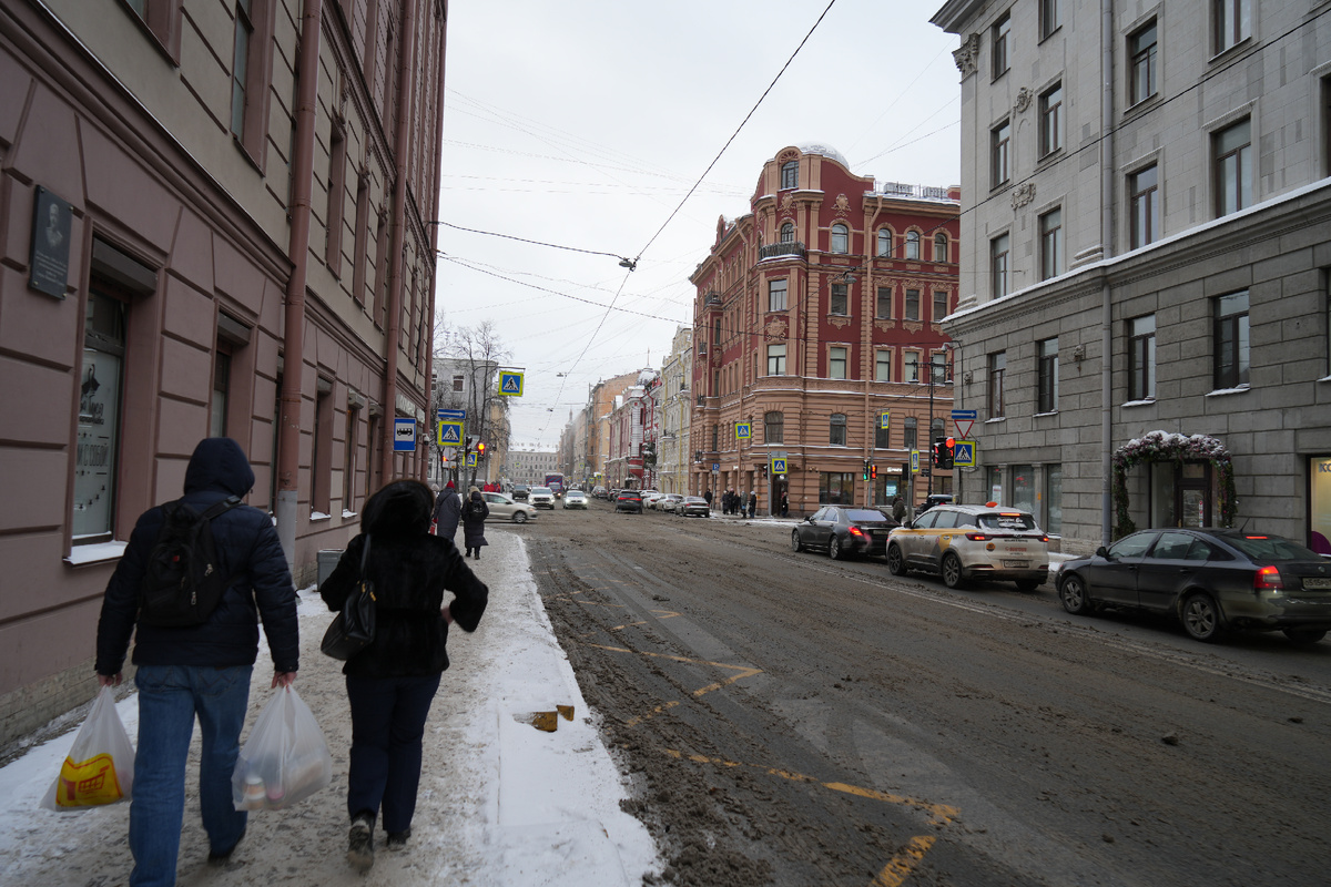 улица Некрасова в Санкт-Петербурге. Февраль 2026