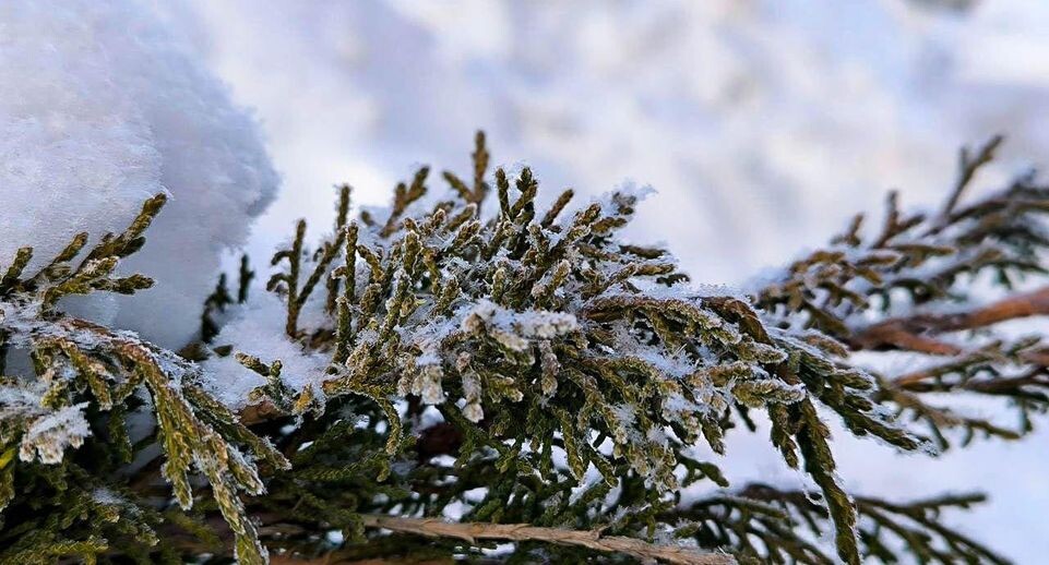    REGIONS/Роман Малышенко