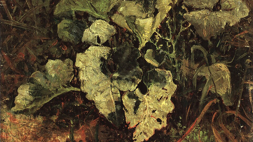 Как человечество ело лапух