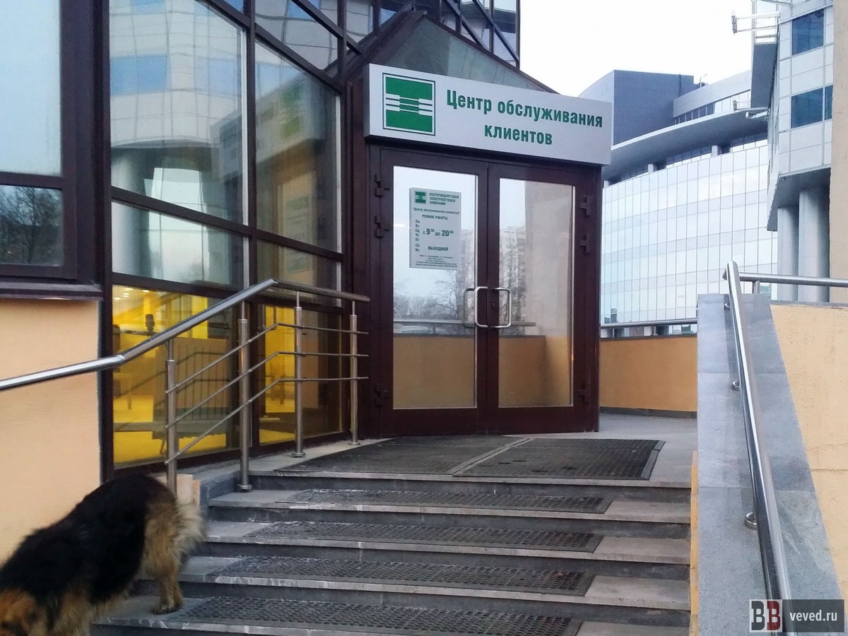     Фото: Владислав Постников / Вечерние ведомости