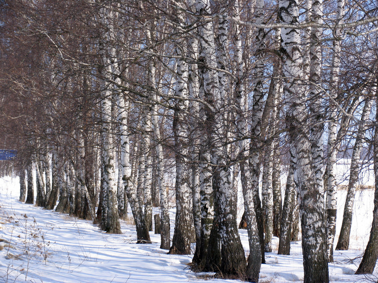    Фото: Геннадий Черкасов