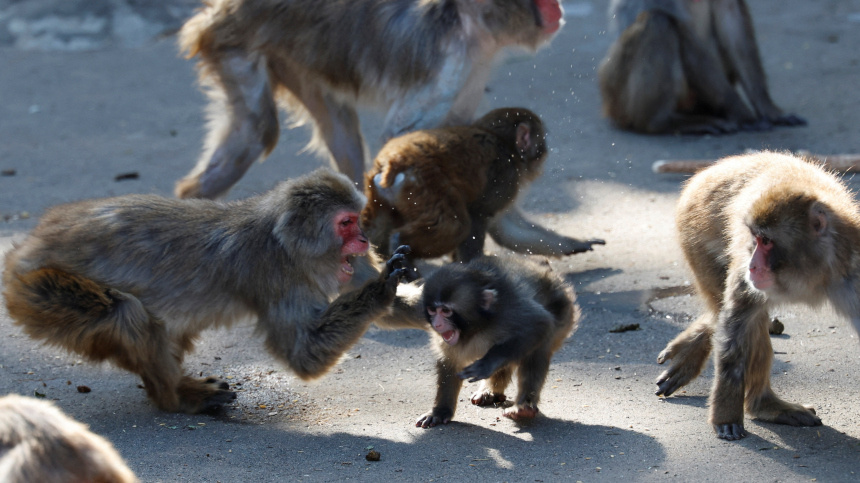    Фото: Reuters/Kim Kyung-Hoon