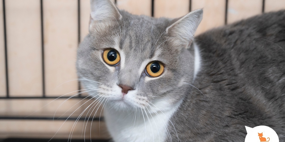 Начинайте веселиться всей семьёй