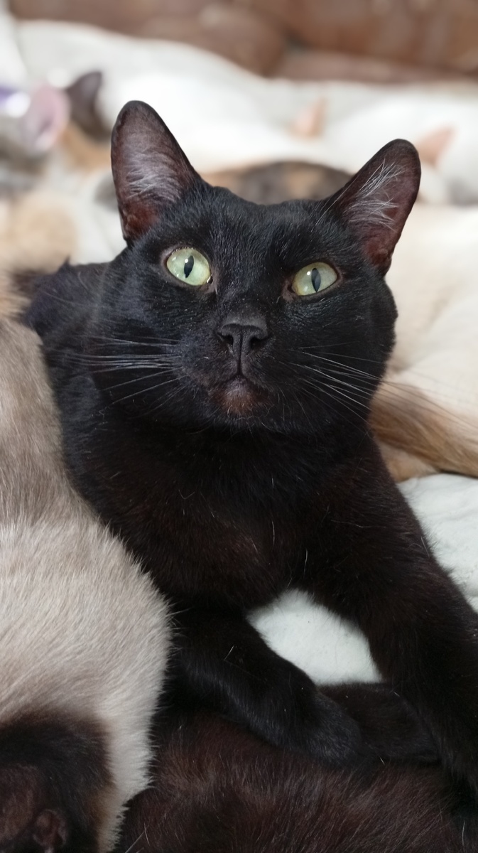 Фото из личного архива