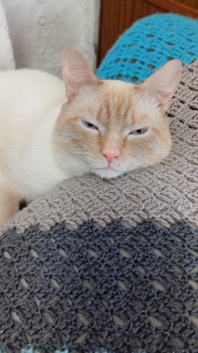 Фото из личного архива