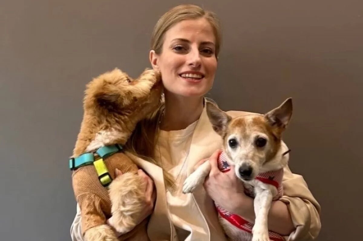    Зоопсихолог понимает причину хандры у собак